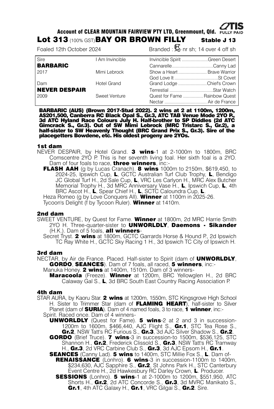 Pedigree - Lot 313