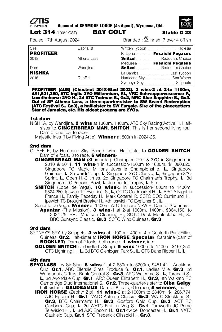 Pedigree - Lot 314