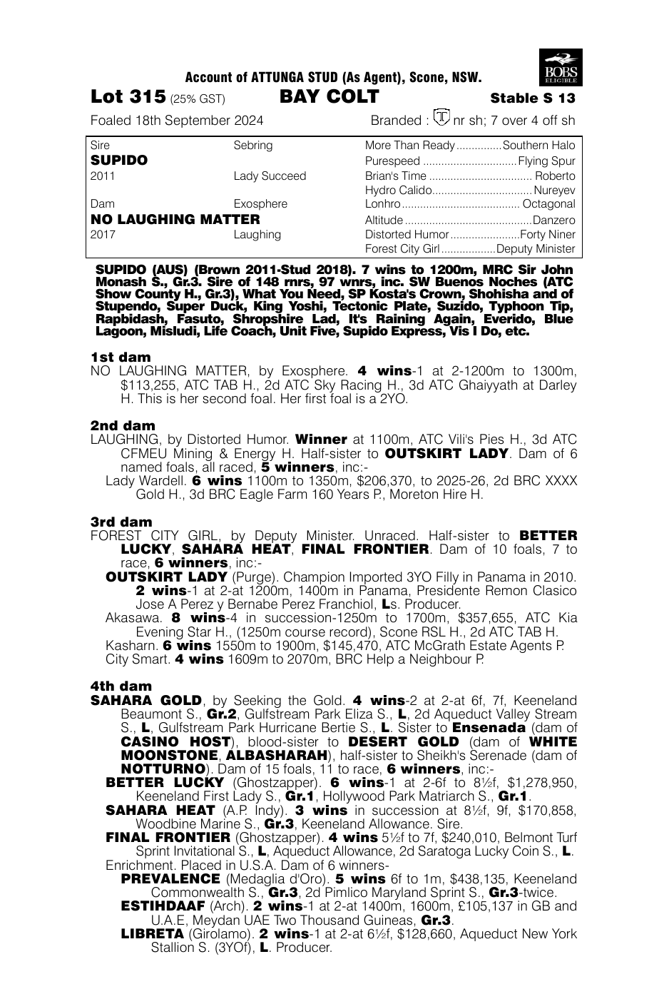 Pedigree - Lot 315