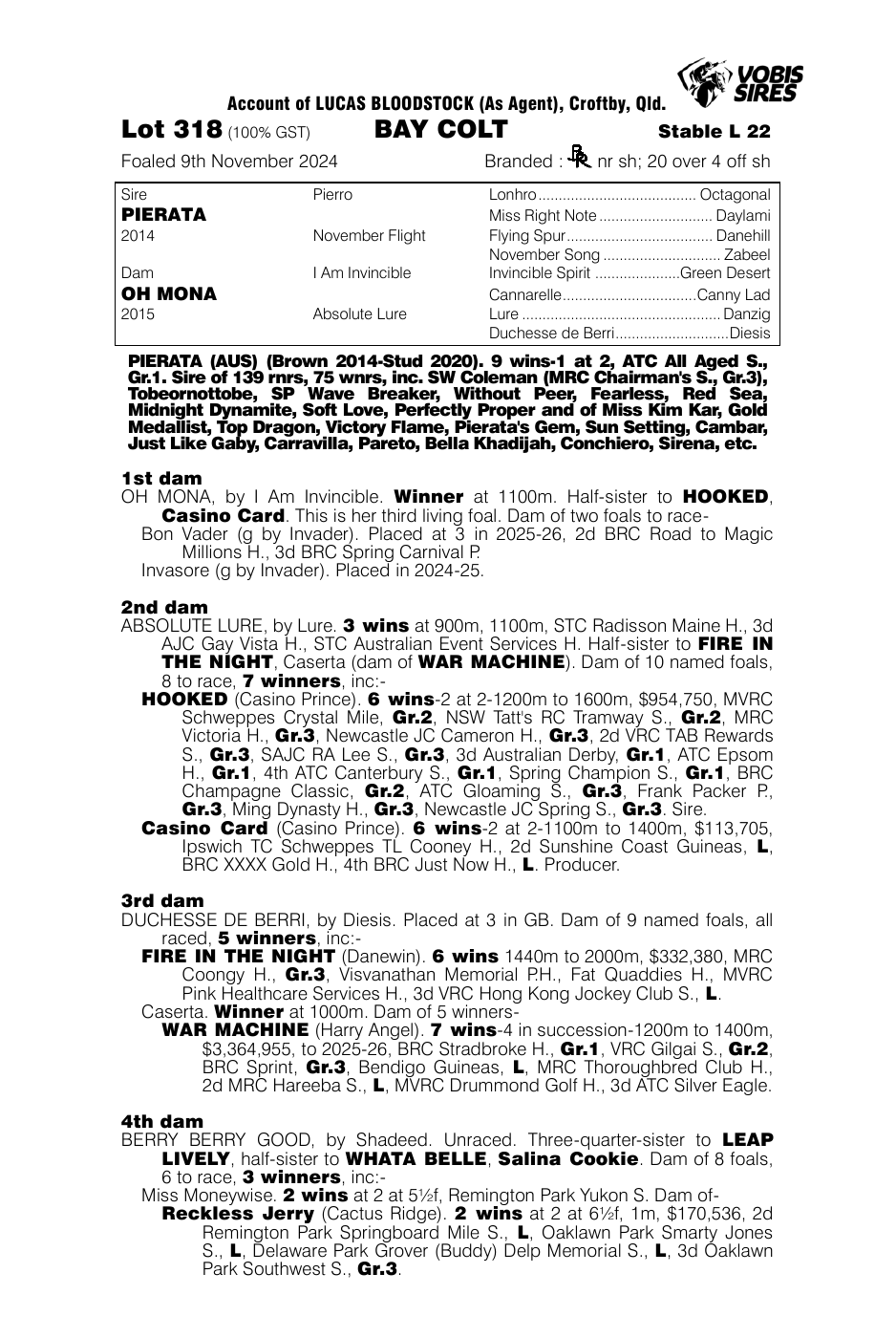 Pedigree - Lot 318