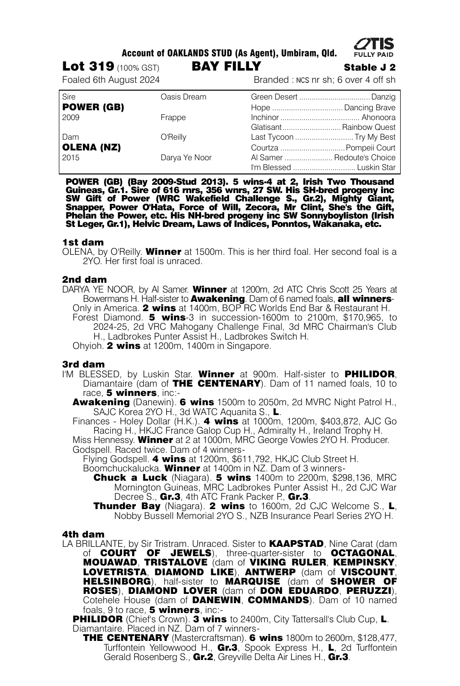 Pedigree - Lot 319