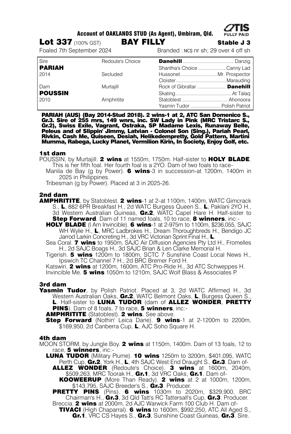 Pedigree - Lot 337