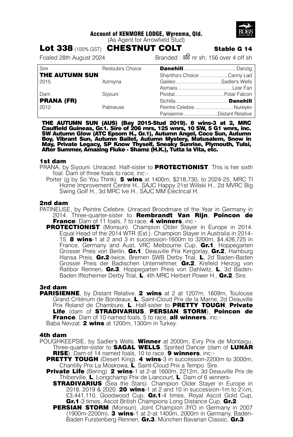 Pedigree - Lot 338