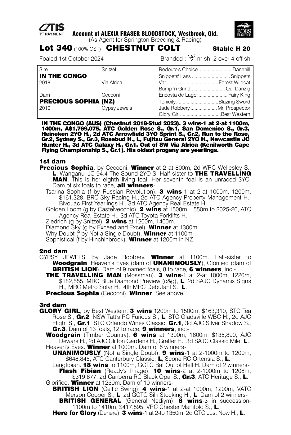 Pedigree - Lot 340