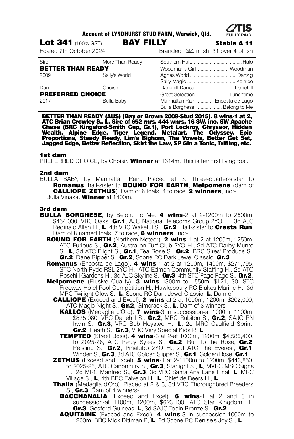 Pedigree - Lot 341