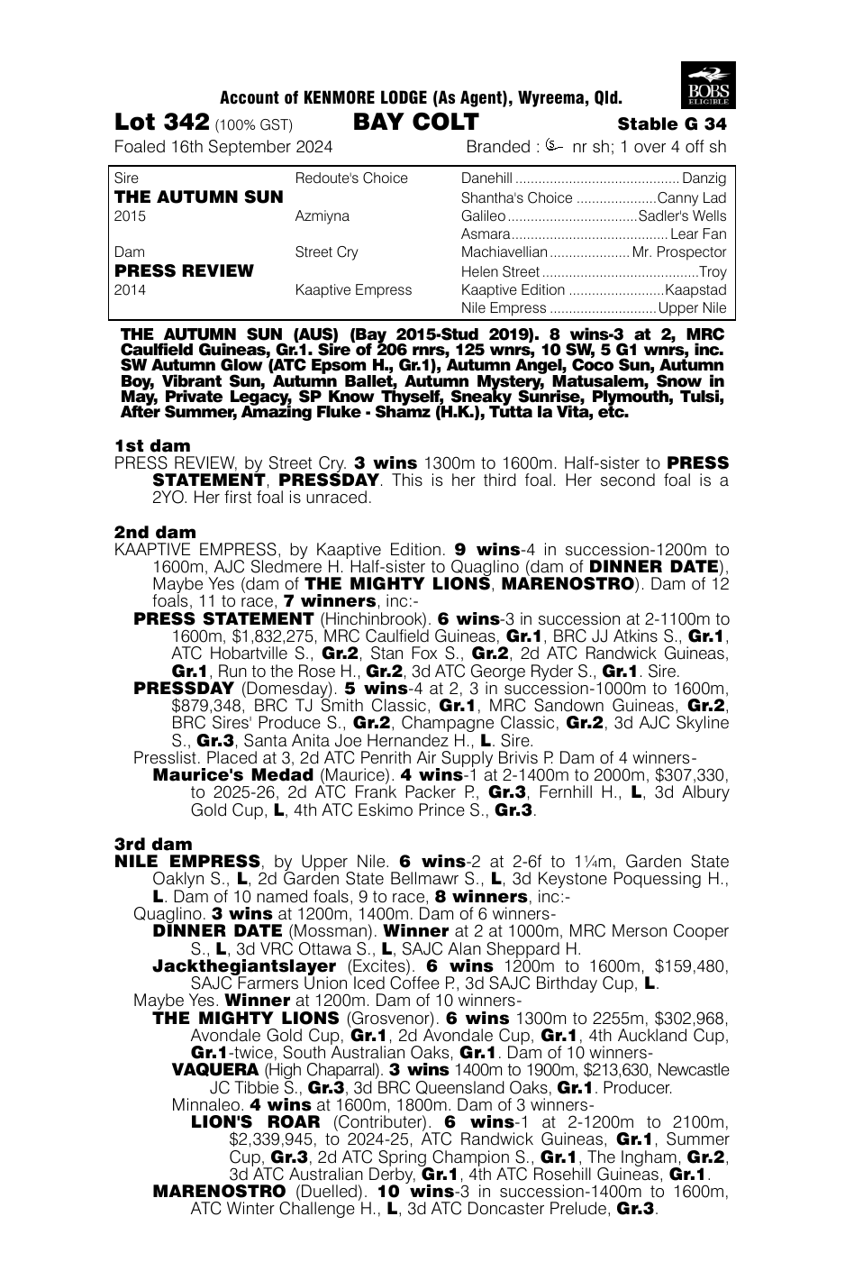 Pedigree - Lot 342