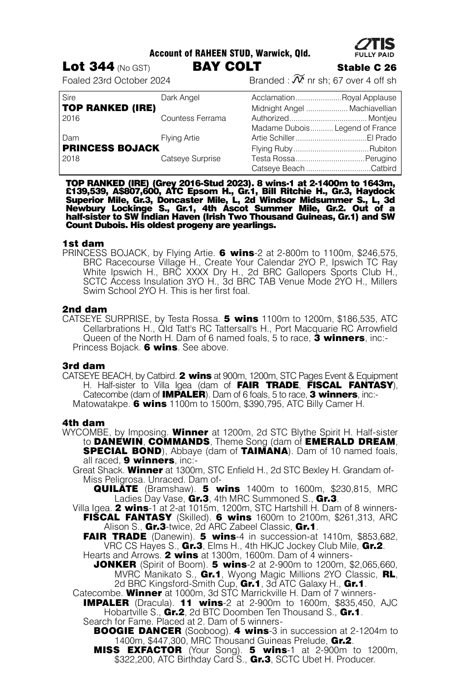 Pedigree - Lot 344