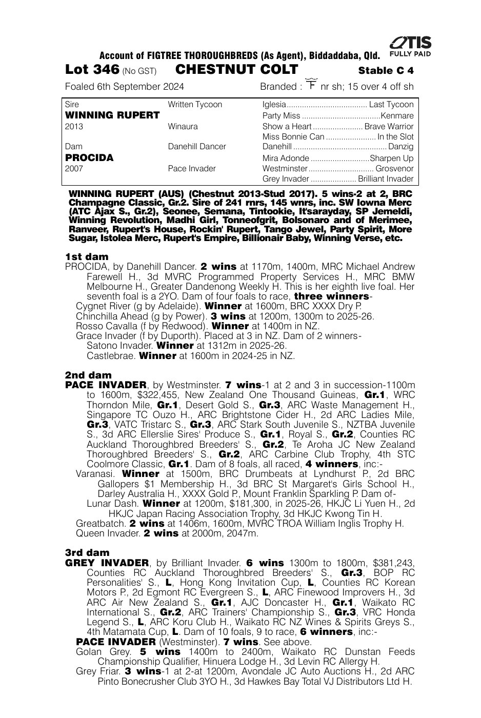 Pedigree - Lot 346