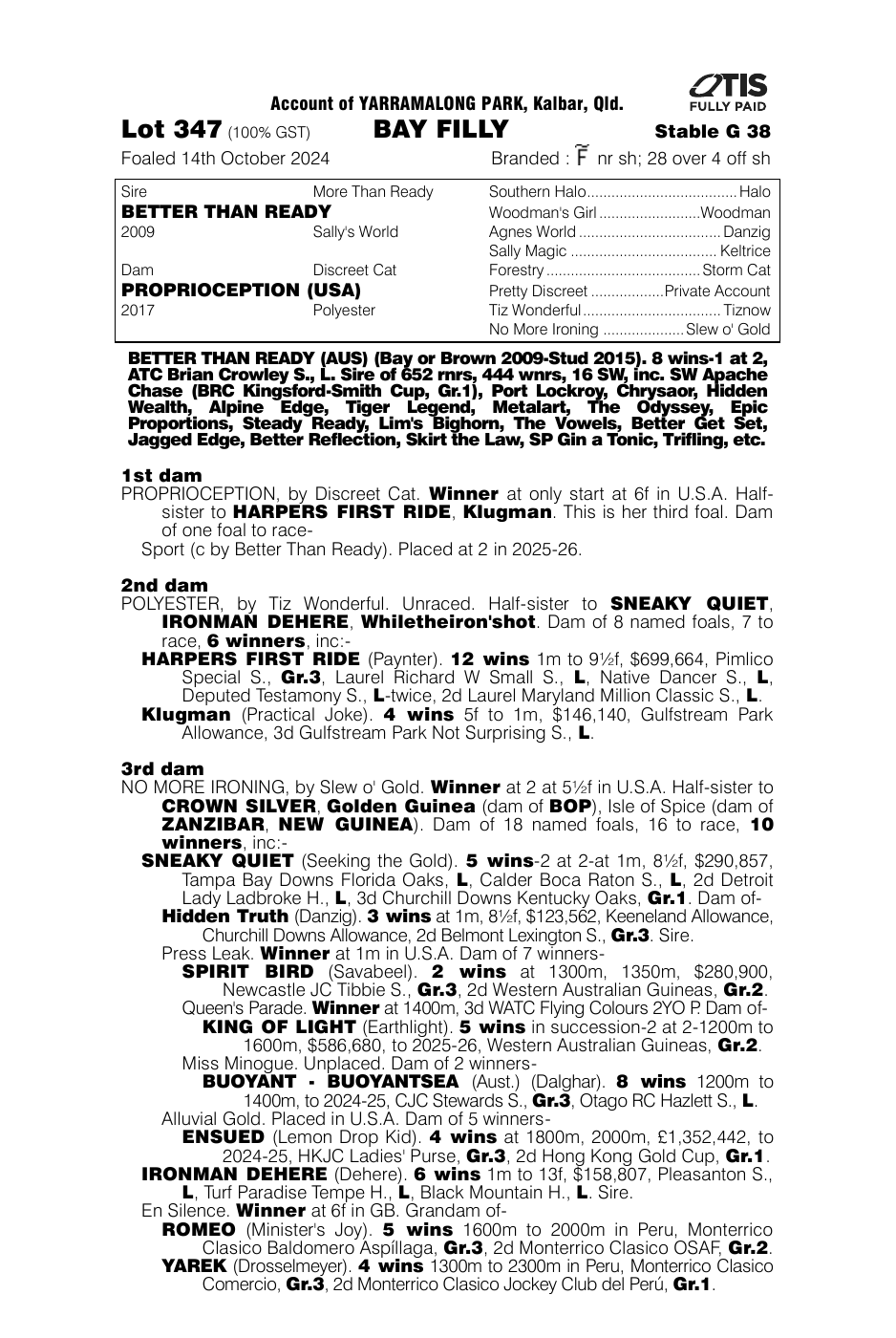 Pedigree - Lot 347