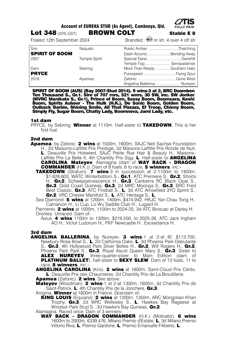 Pedigree - Lot 348