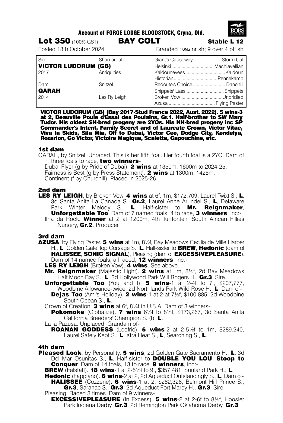 Pedigree - Lot 350