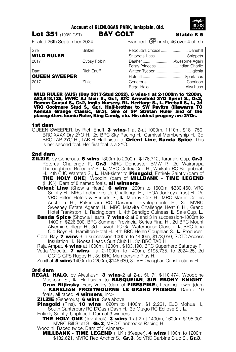 Pedigree - Lot 351