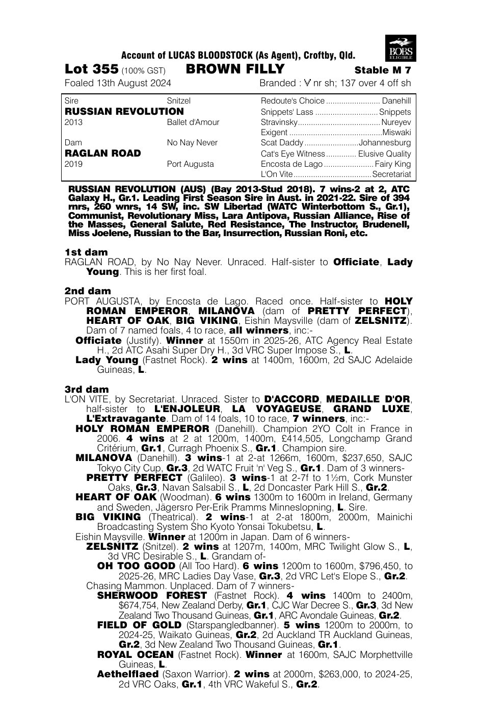 Pedigree - Lot 355