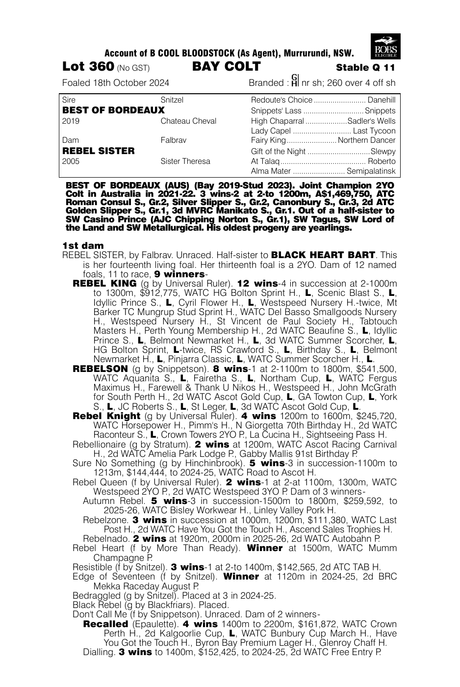 Pedigree - Lot 360