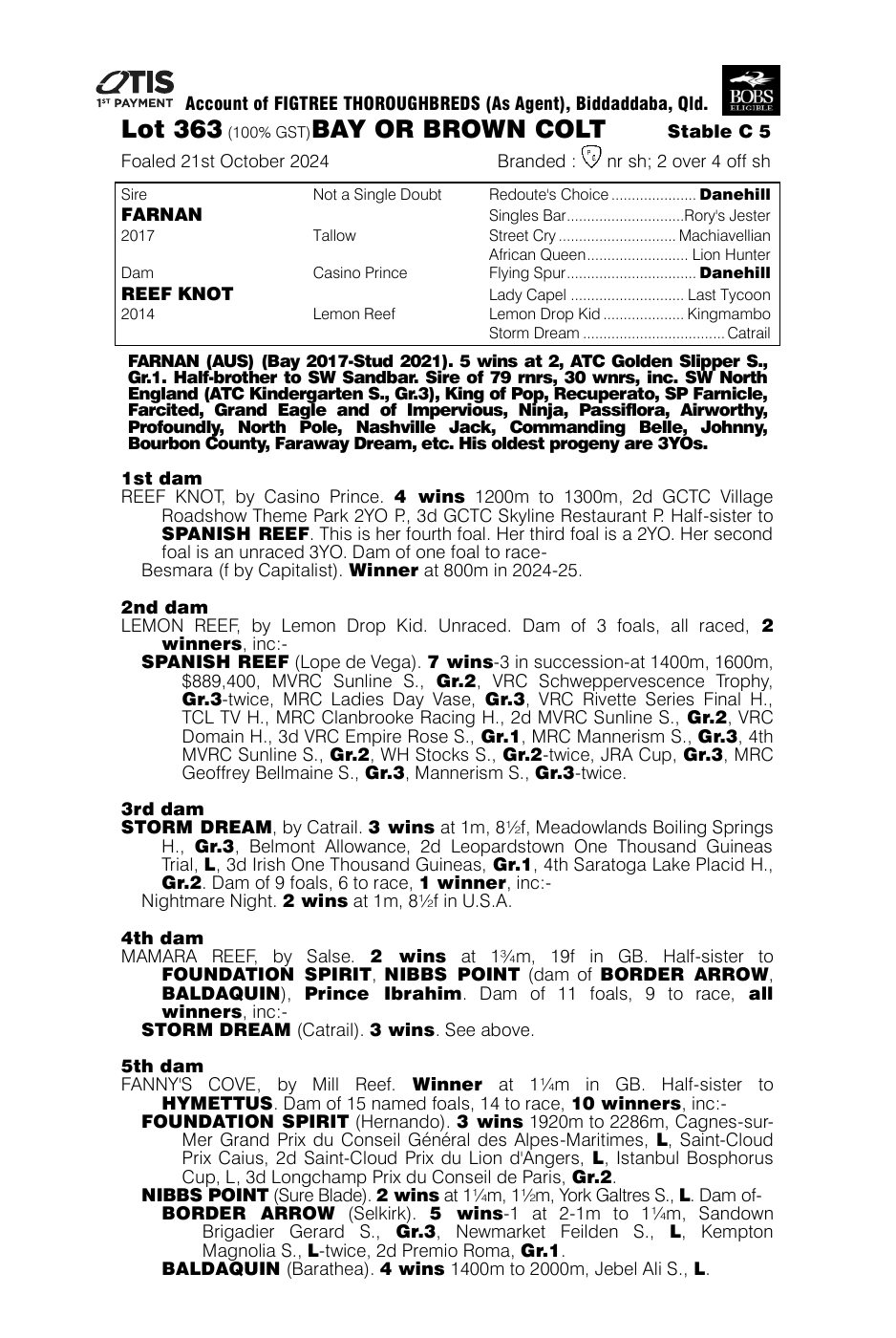 Pedigree - Lot 363