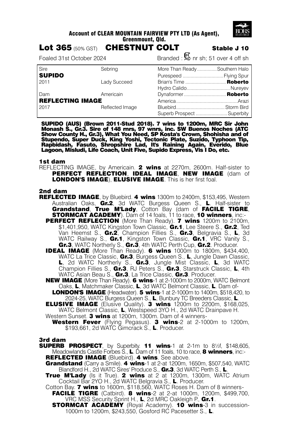 Pedigree - Lot 365