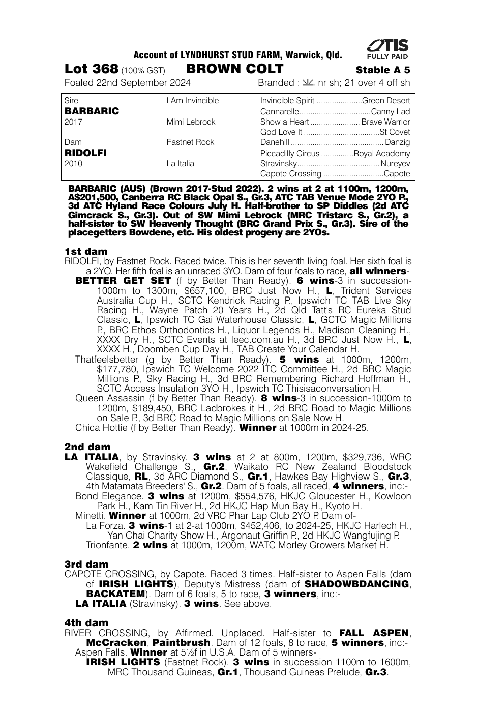 Pedigree - Lot 368