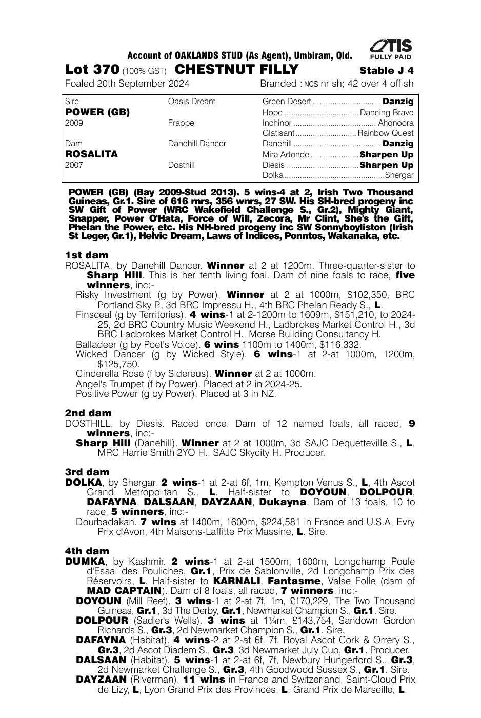 Pedigree - Lot 370