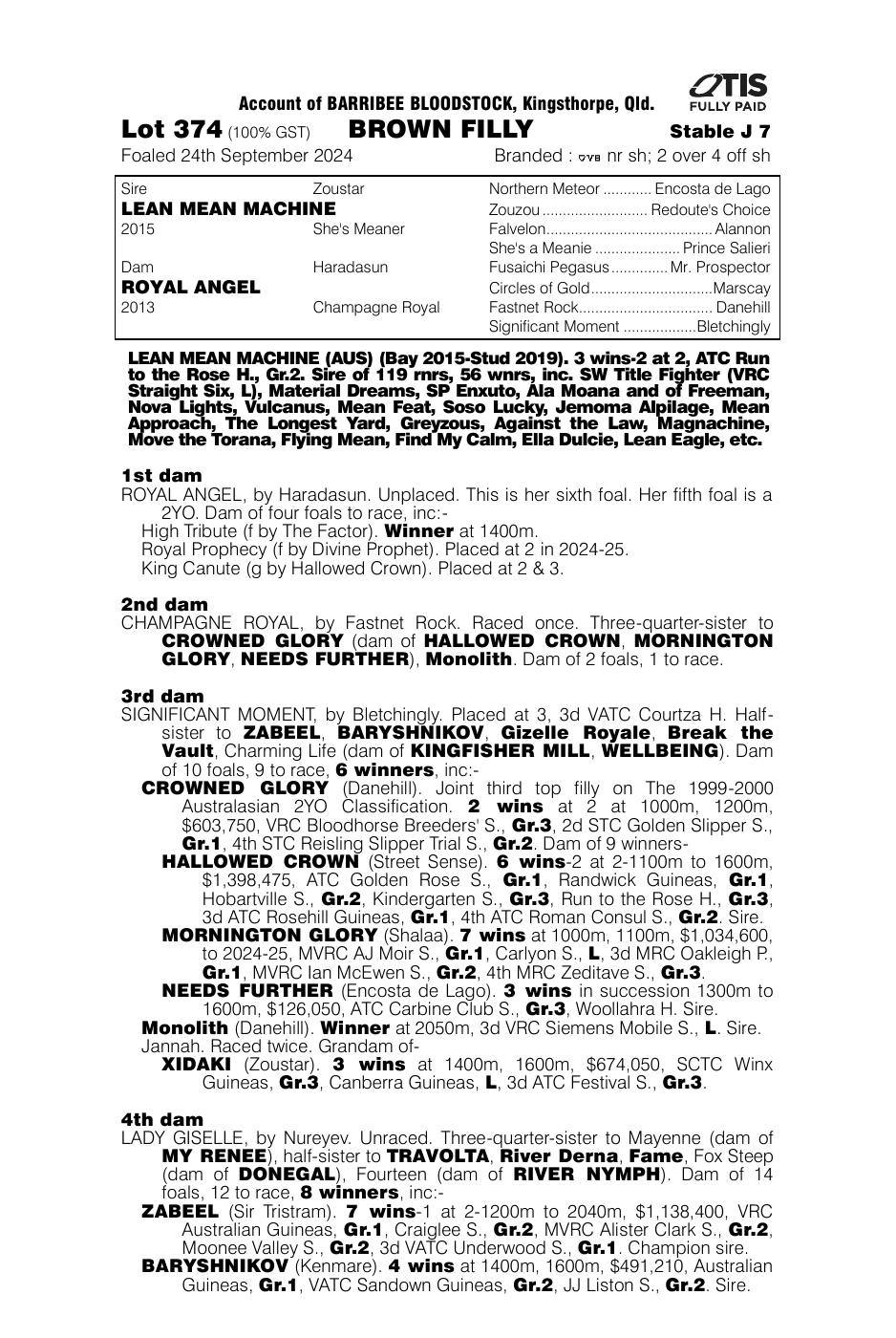 Pedigree - Lot 374