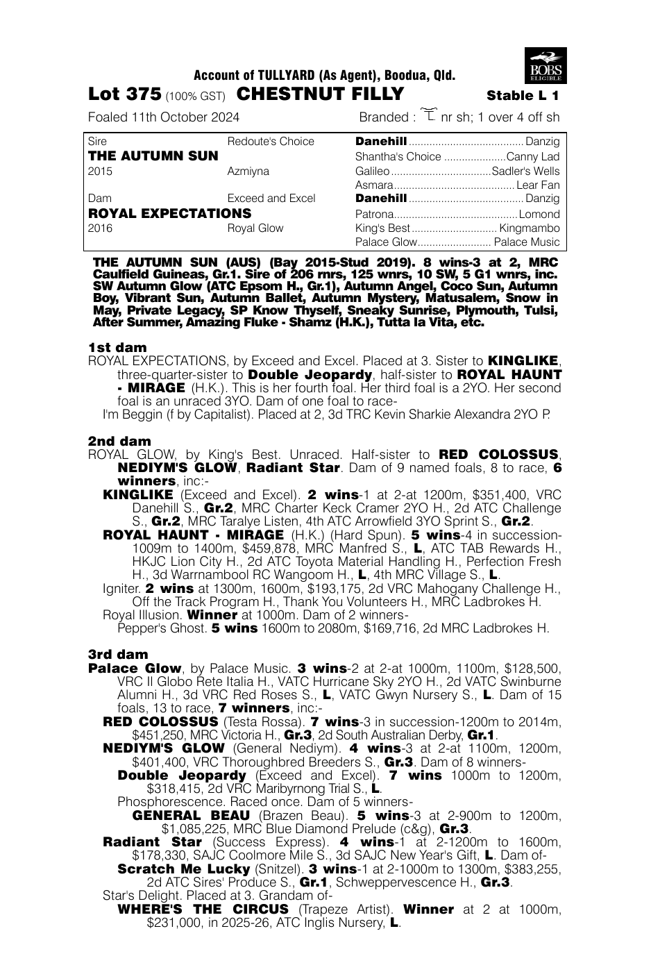 Pedigree - Lot 375