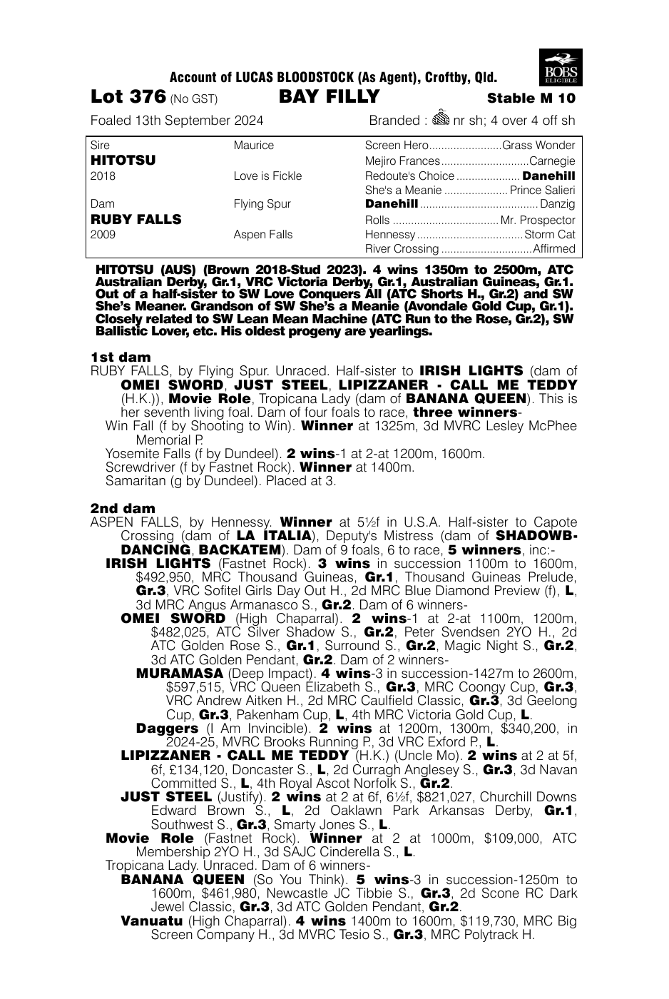 Pedigree - Lot 376