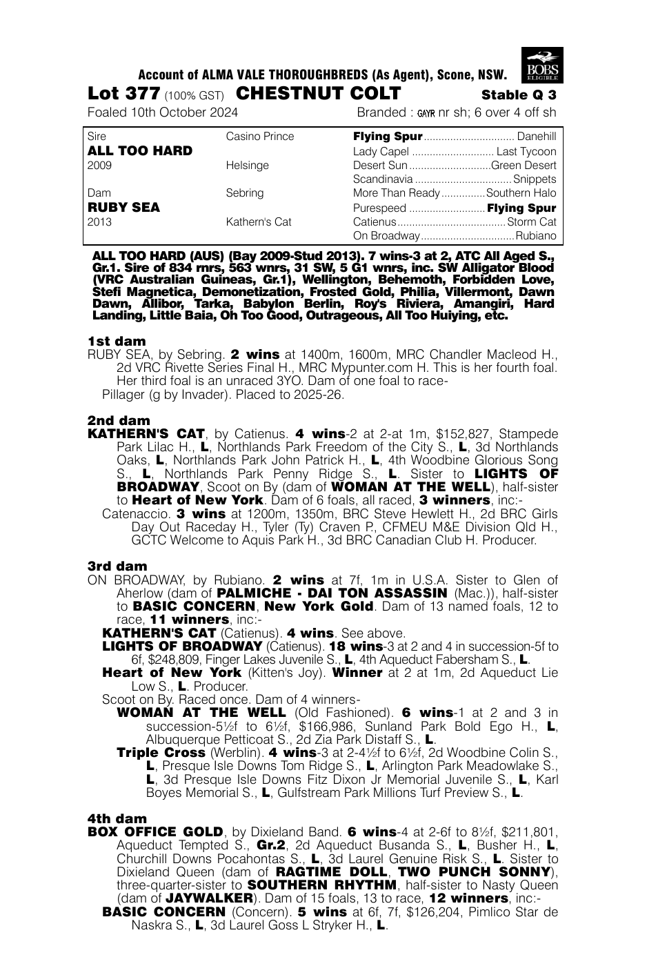 Pedigree - Lot 377