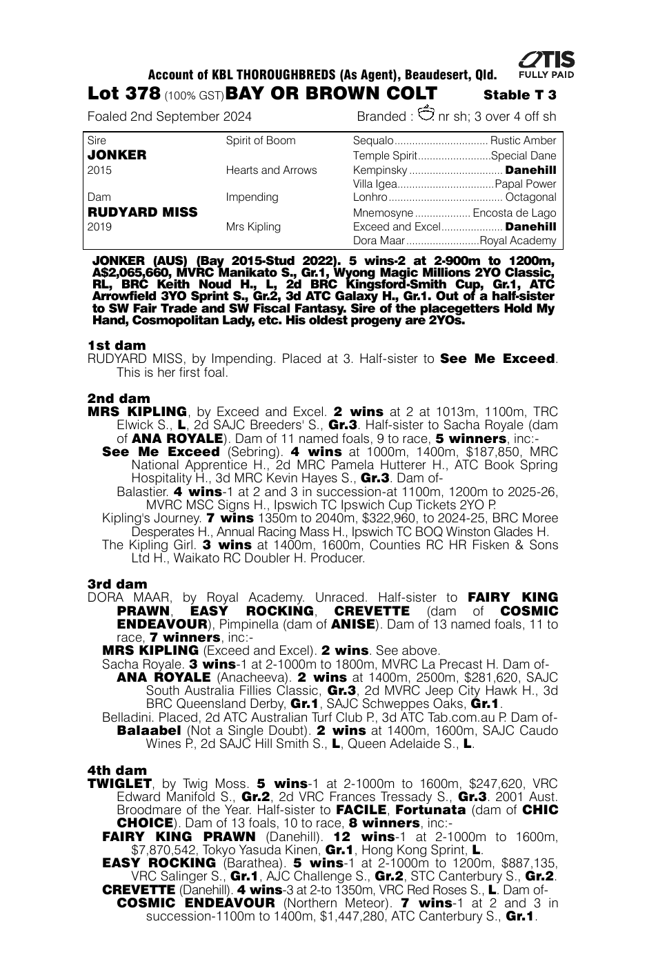 Pedigree - Lot 378