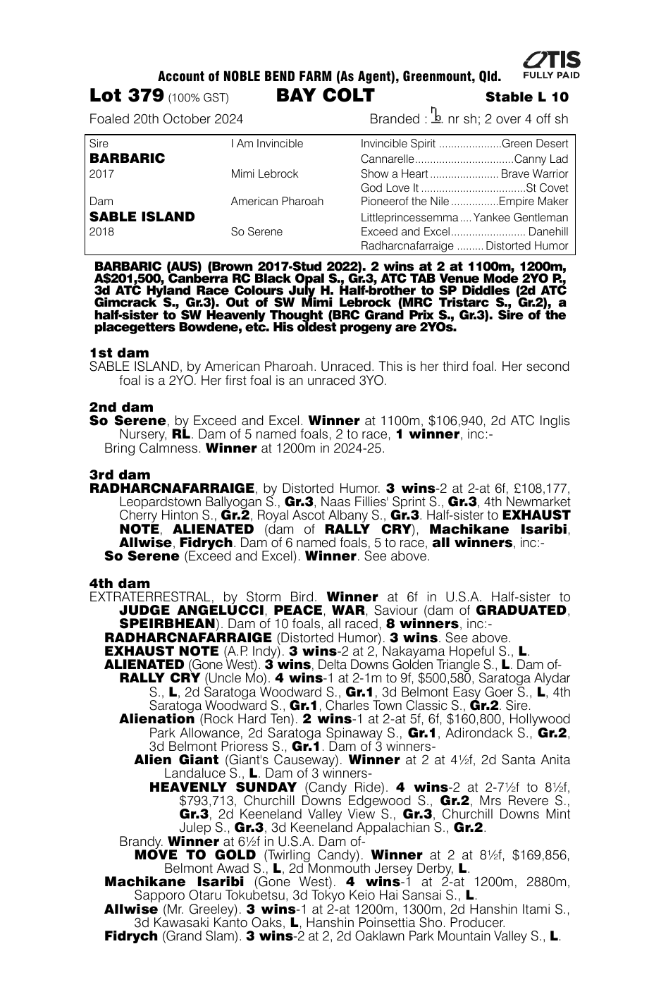 Pedigree - Lot 379