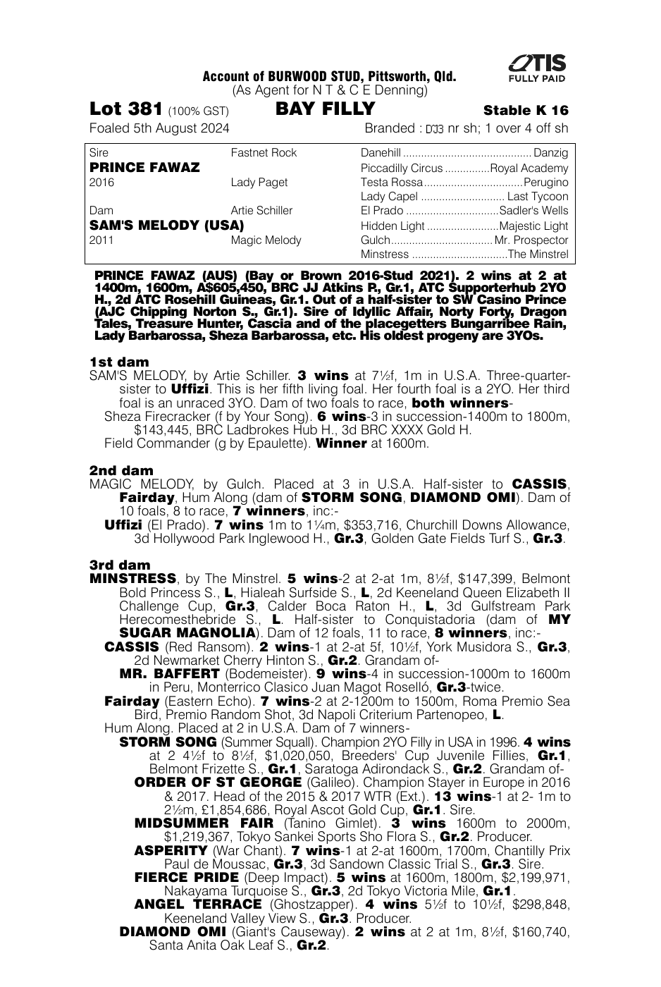 Pedigree - Lot 381