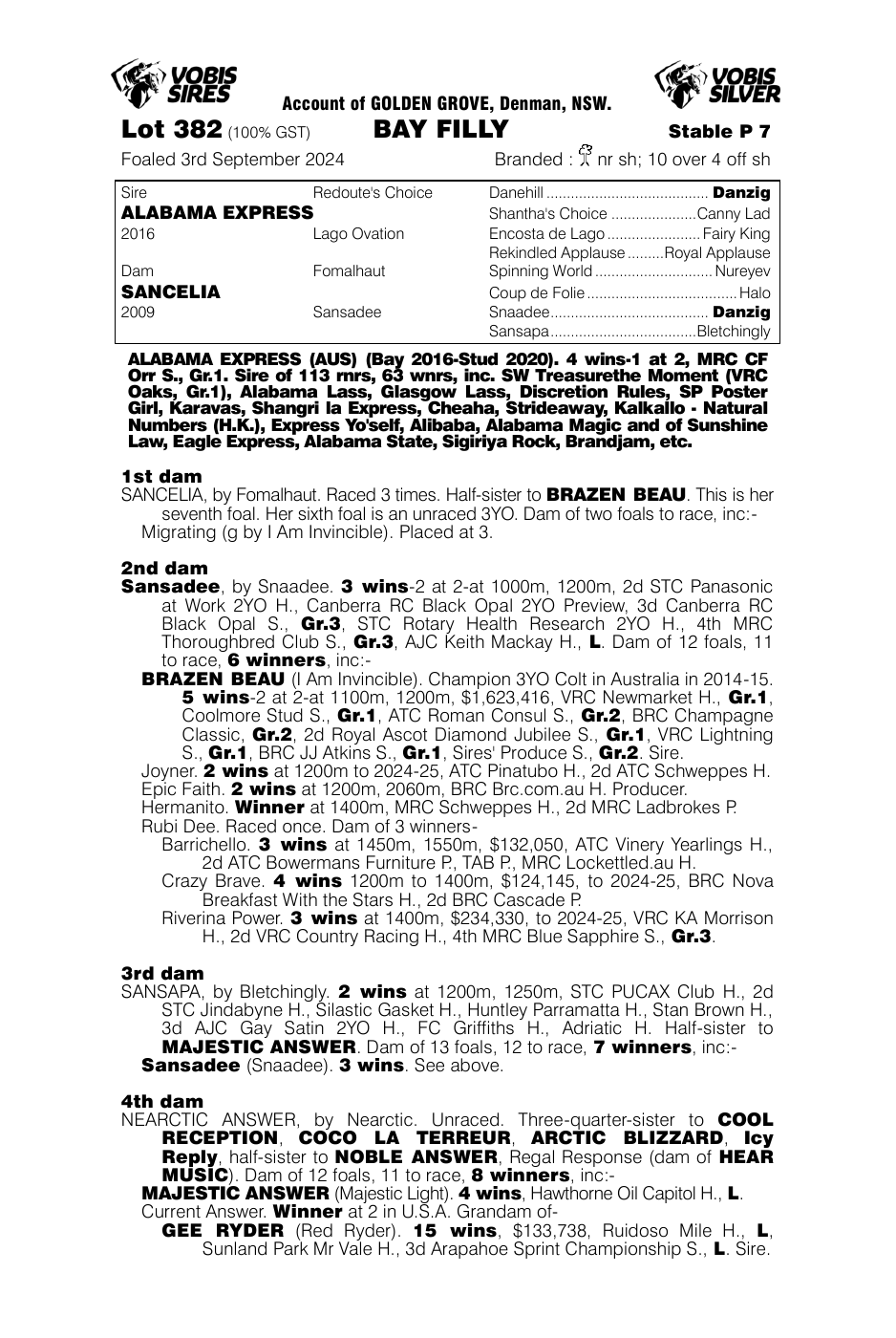 Pedigree - Lot 382