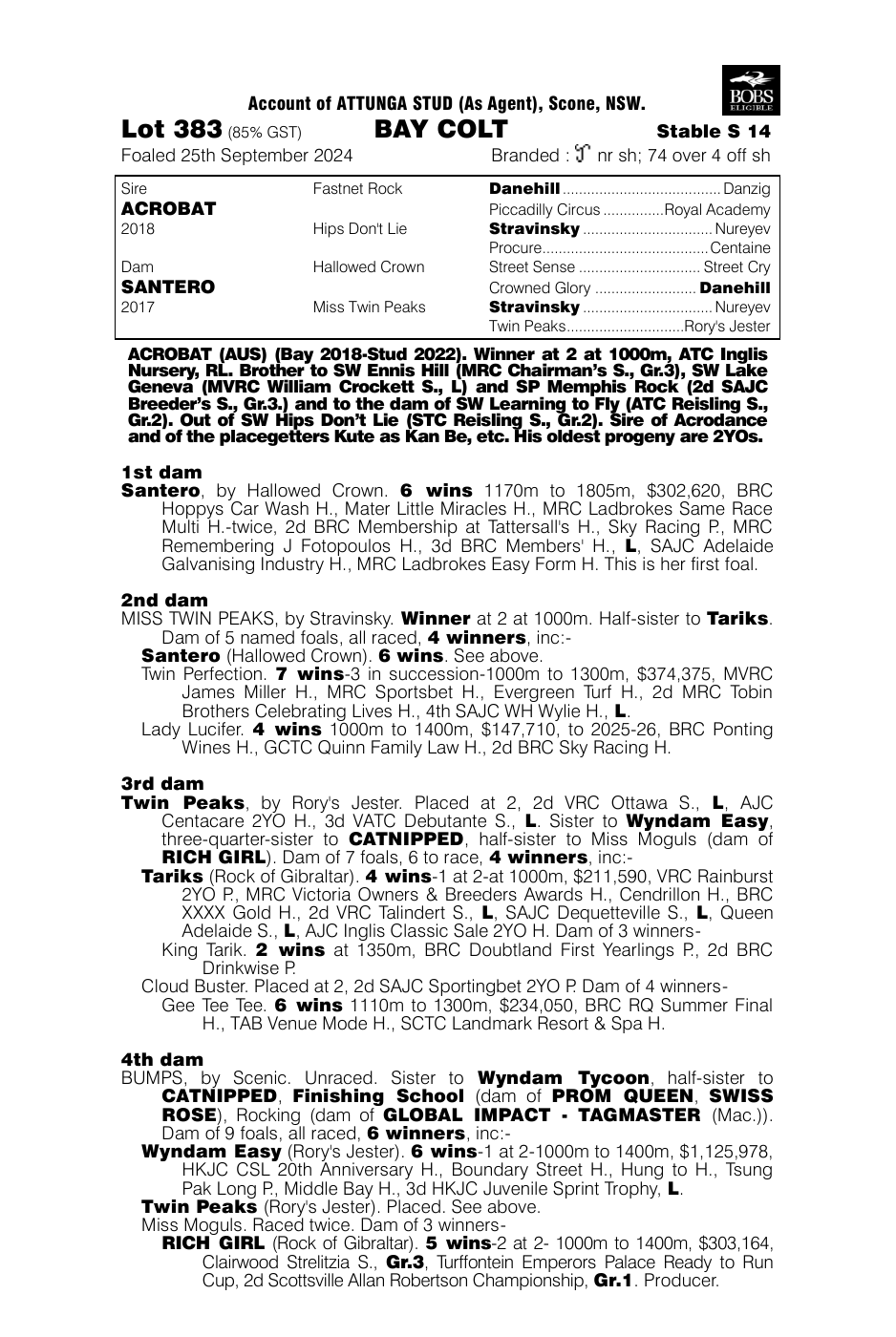 Pedigree - Lot 383