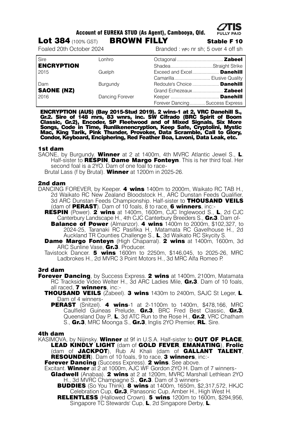 Pedigree - Lot 384