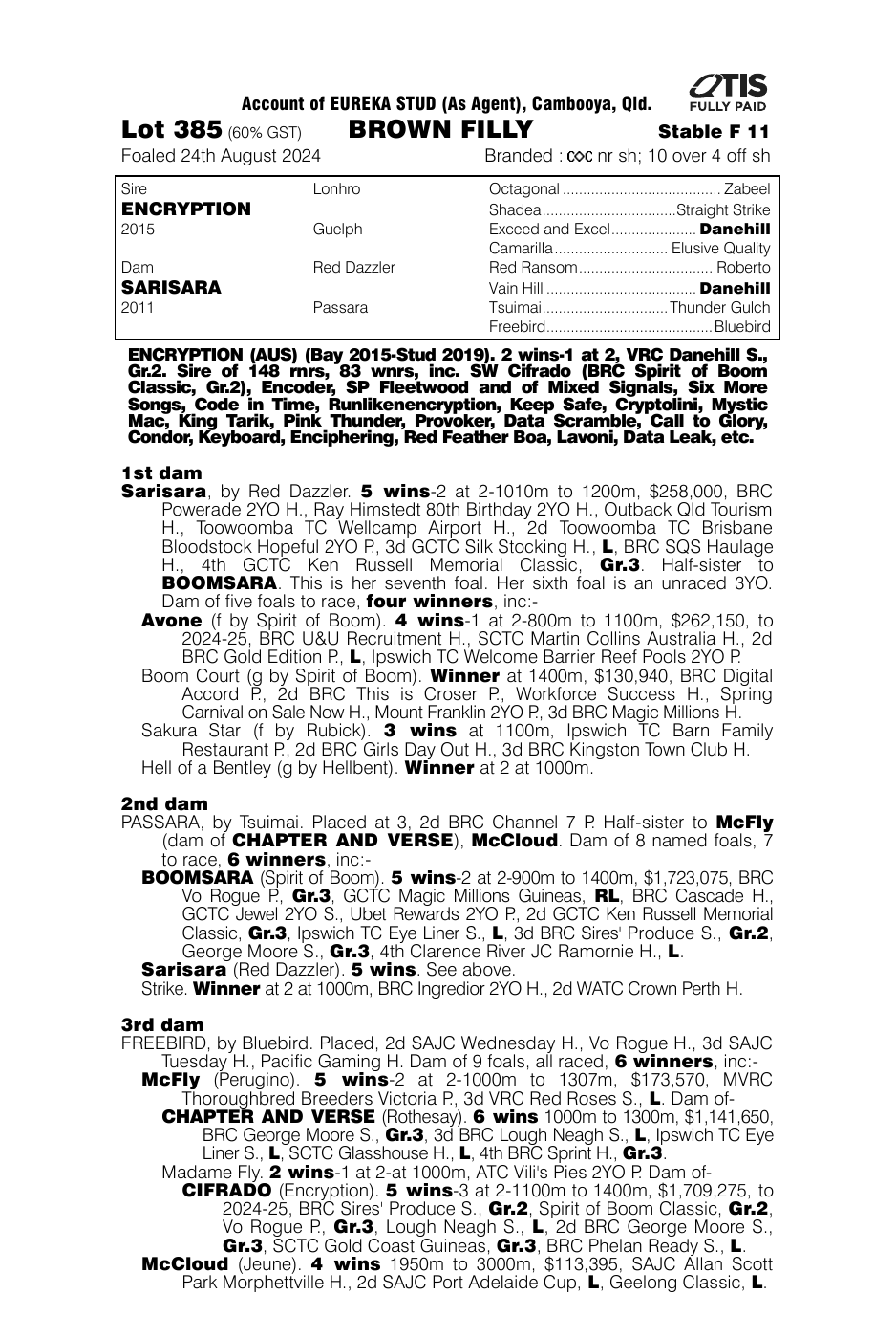 Pedigree - Lot 385