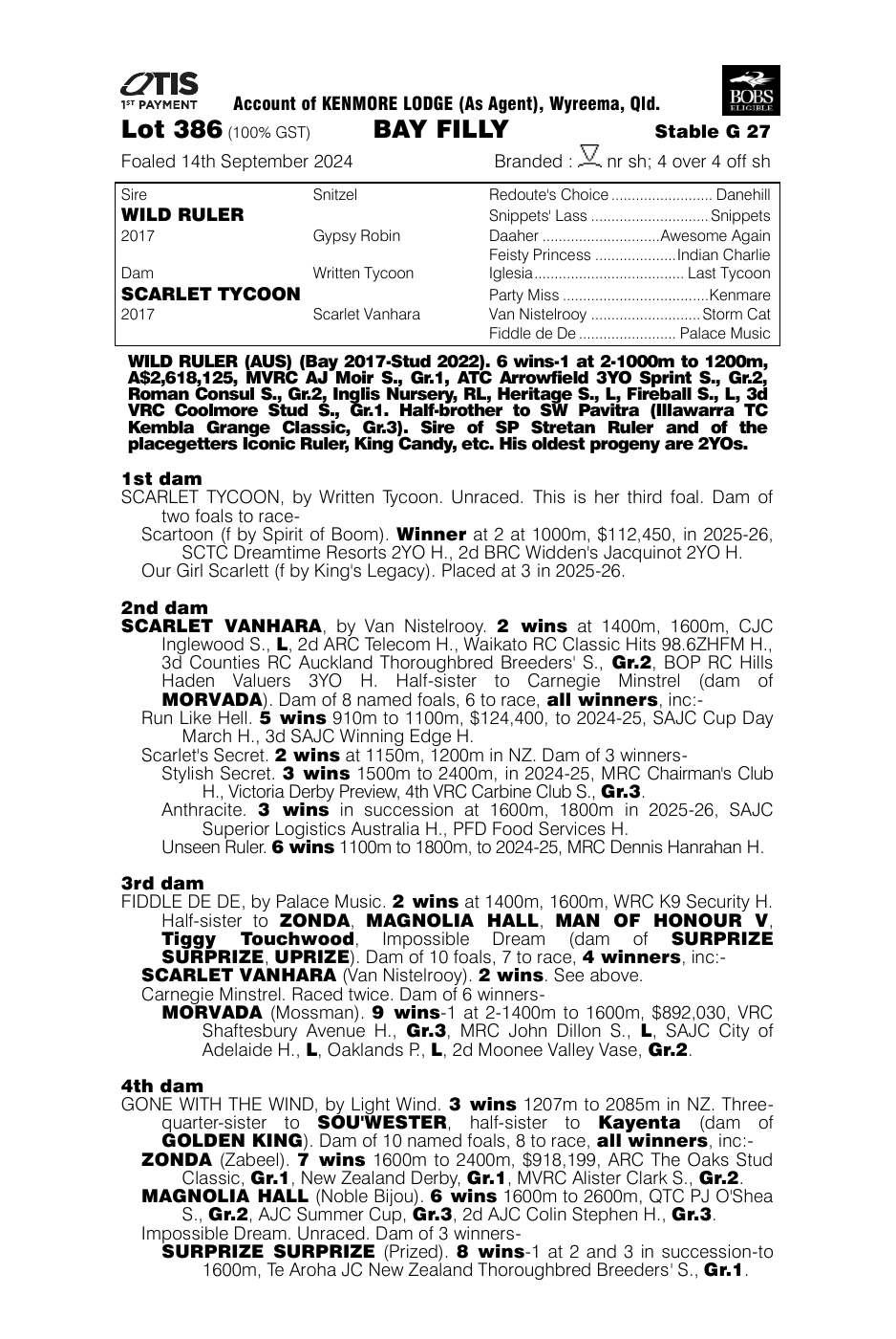 Pedigree - Lot 386