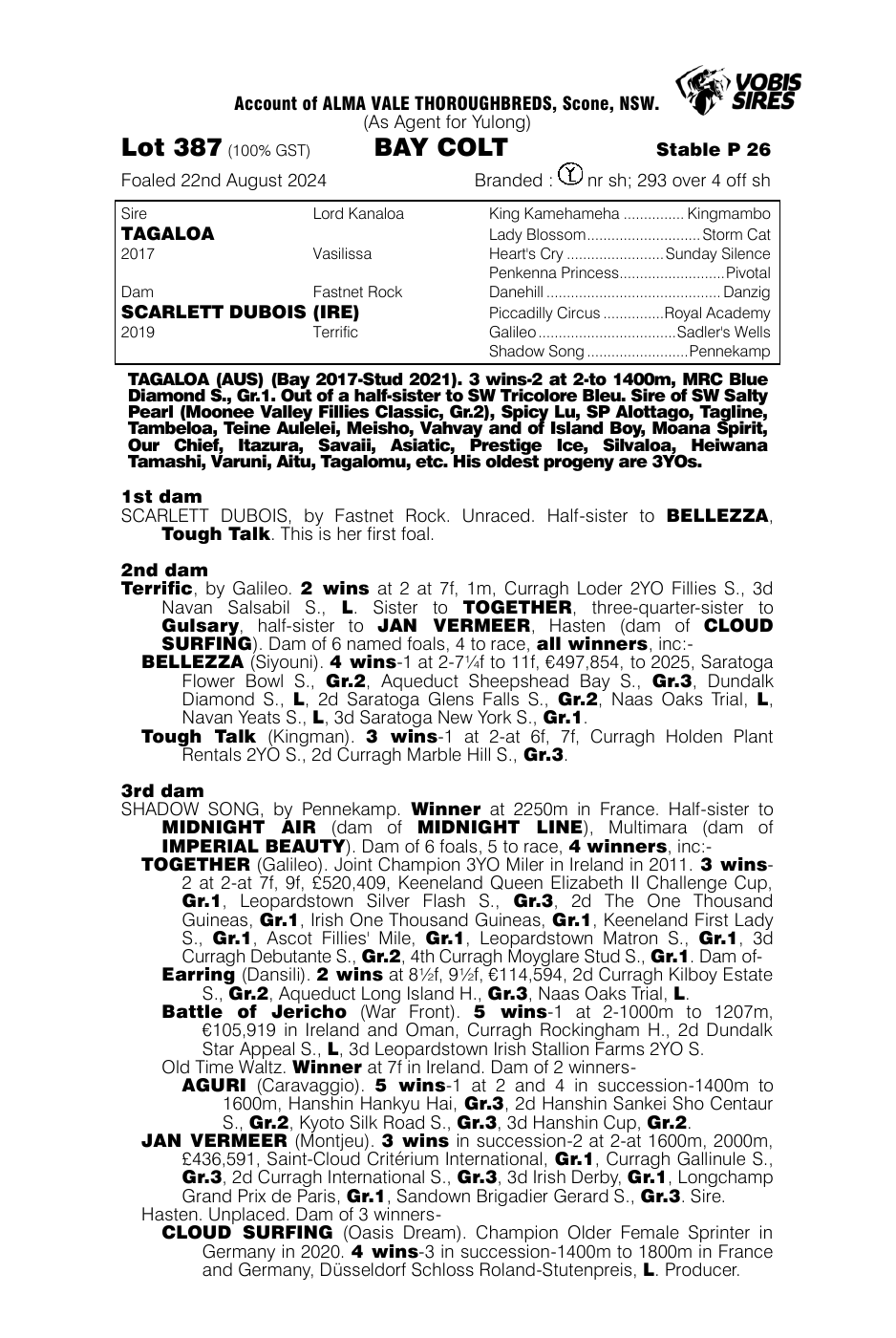 Pedigree - Lot 387
