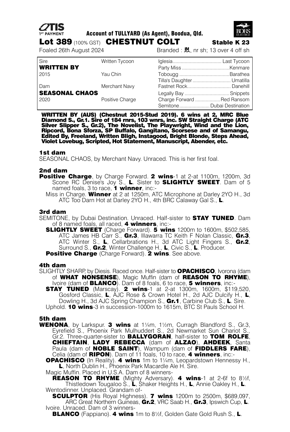 Pedigree - Lot 389