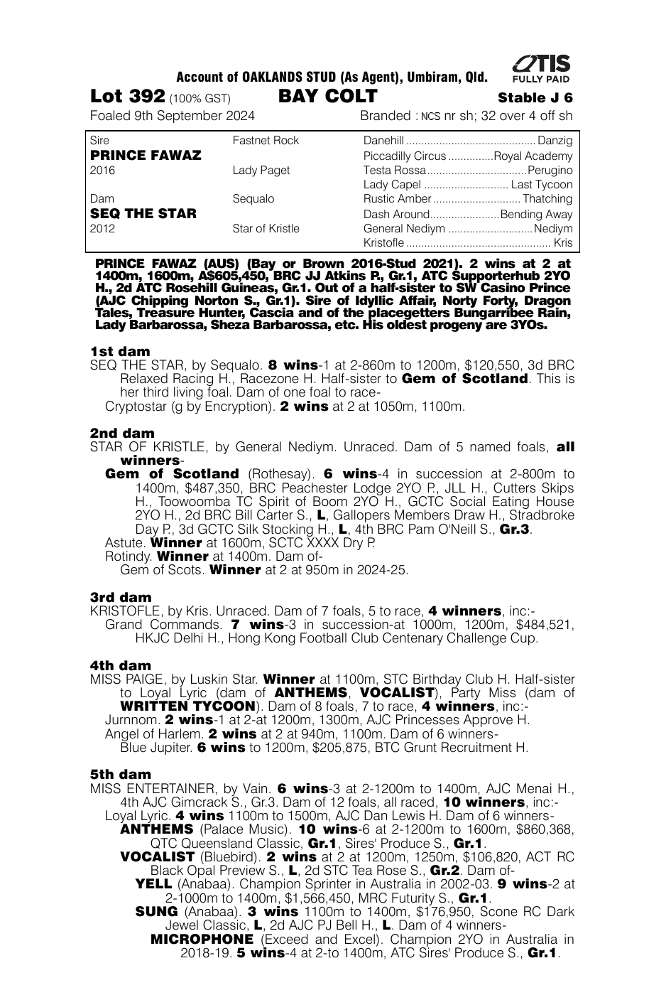 Pedigree - Lot 392