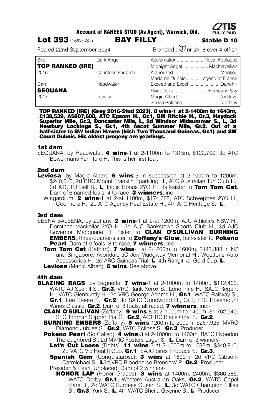 Pedigree - Lot 393