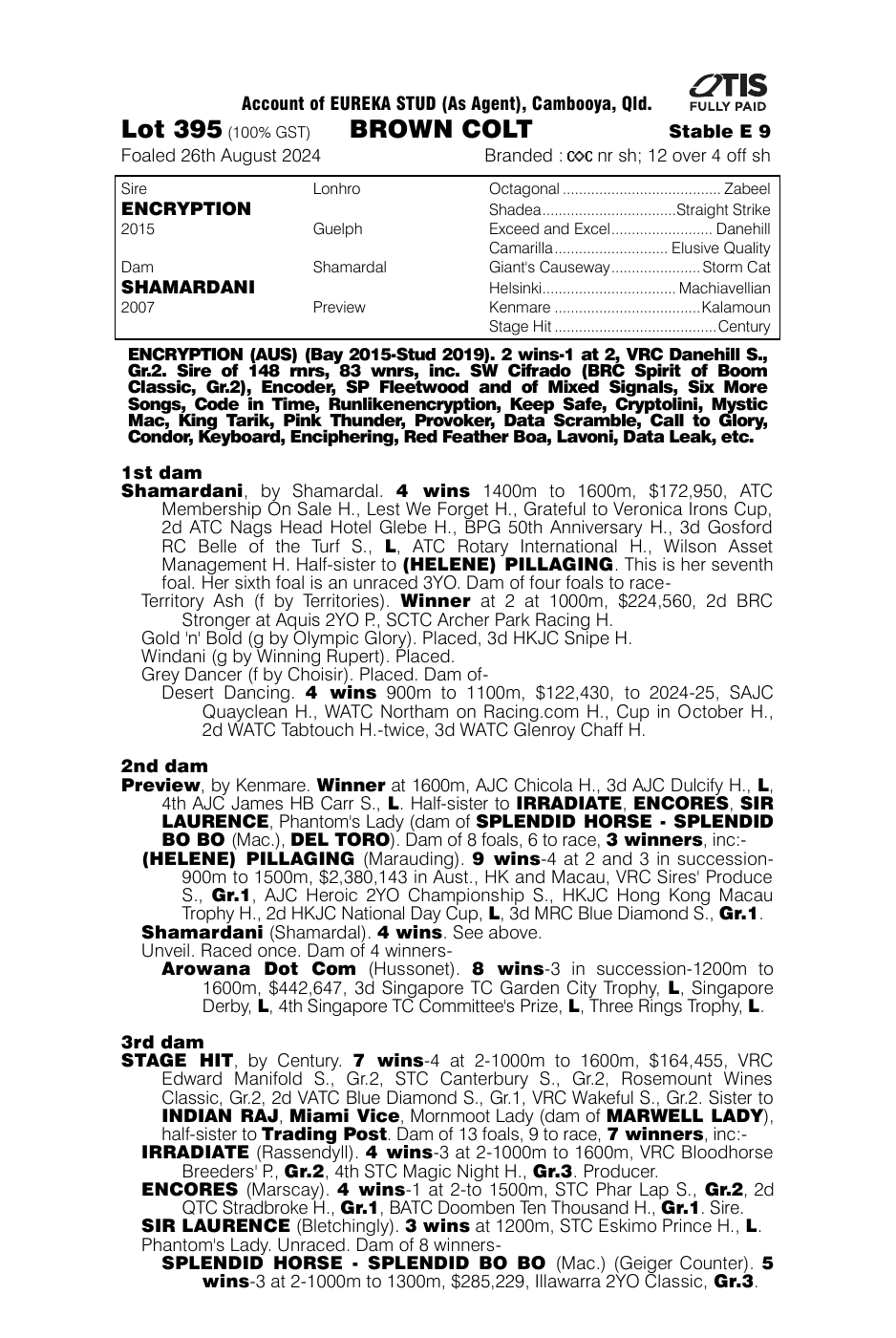 Pedigree - Lot 395