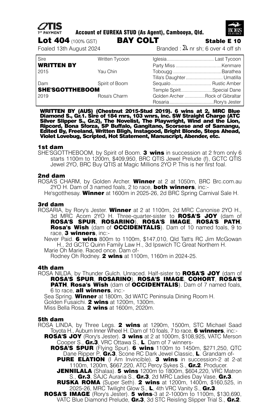 Pedigree - Lot 404