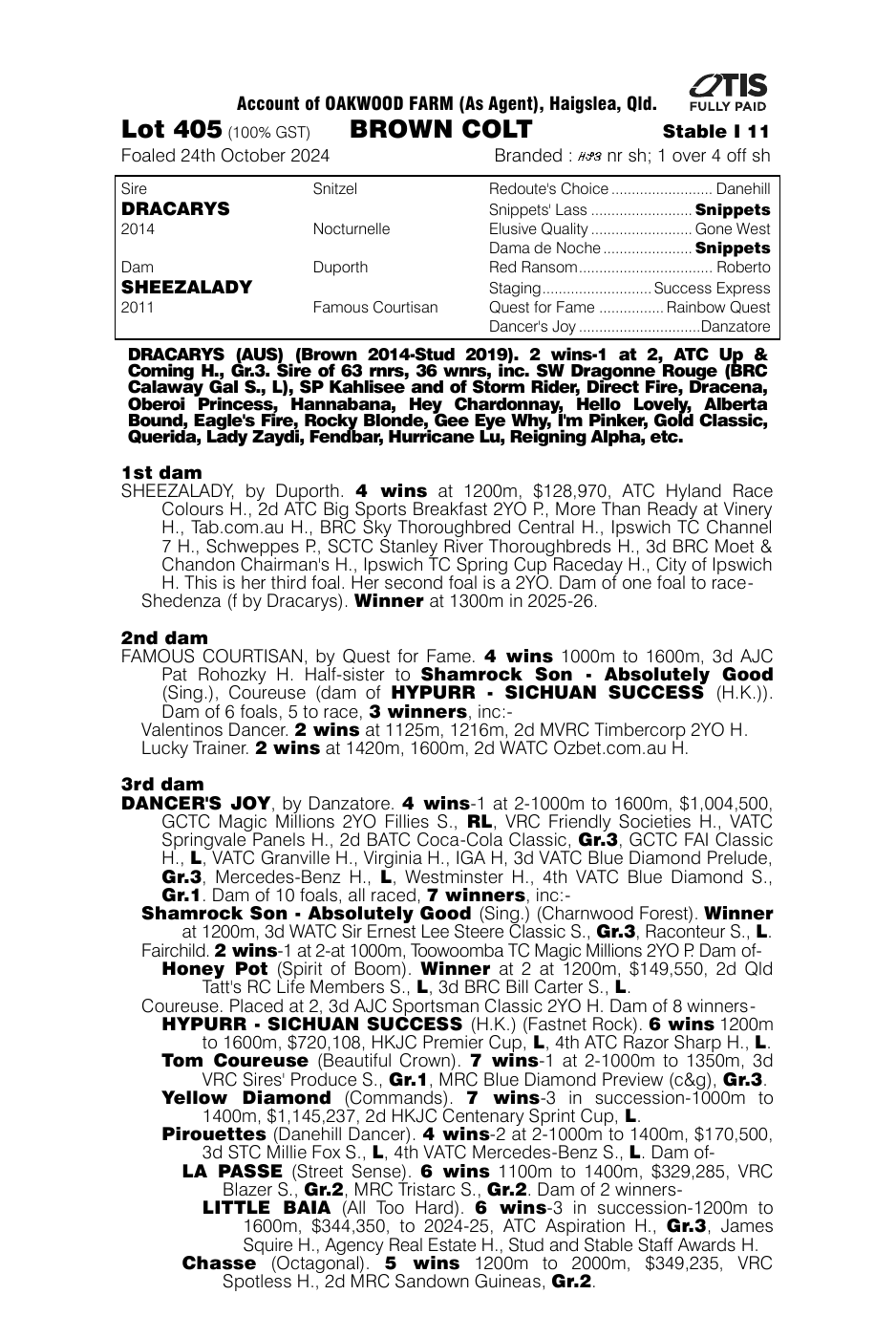 Pedigree - Lot 405