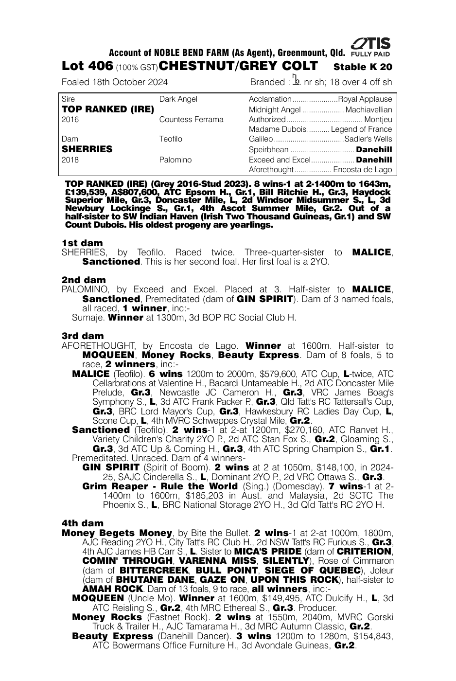 Pedigree - Lot 406