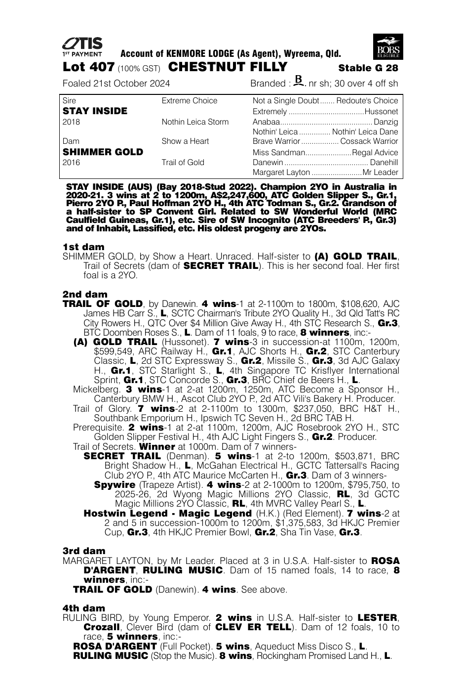 Pedigree - Lot 407