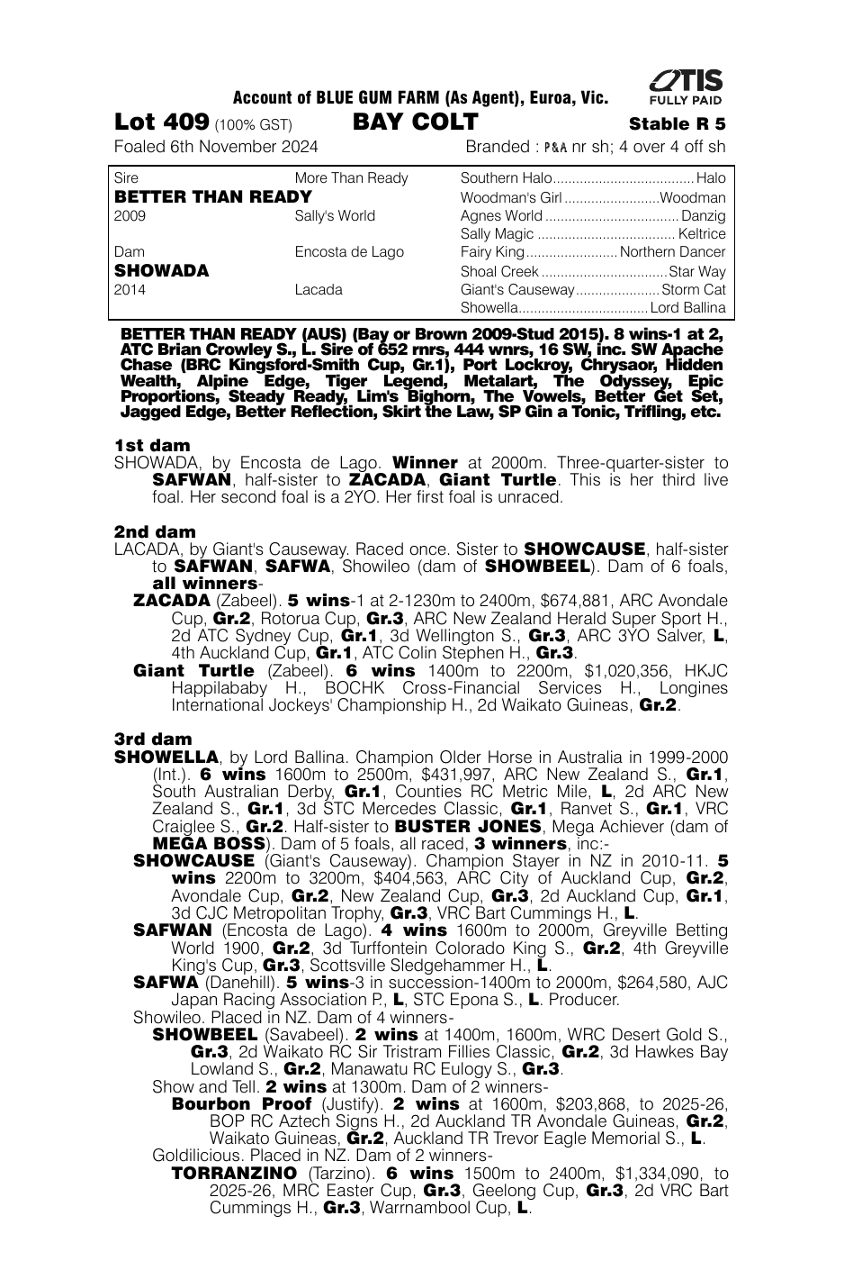 Pedigree - Lot 409