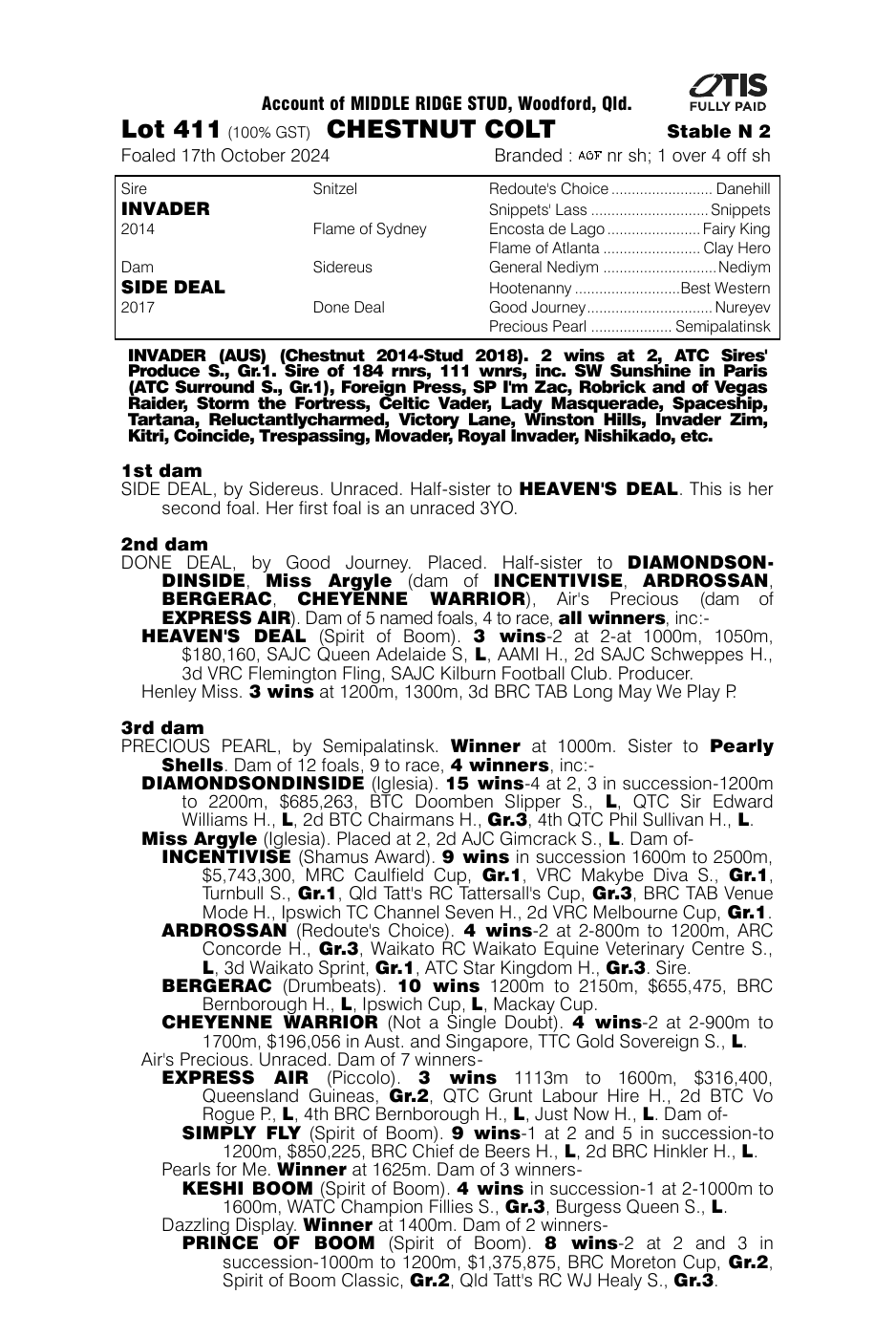 Pedigree - Lot 411