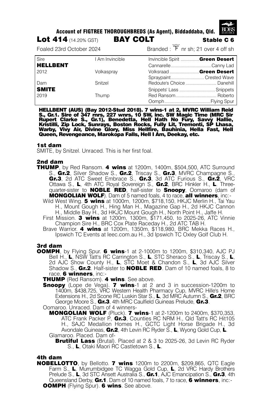 Pedigree - Lot 414