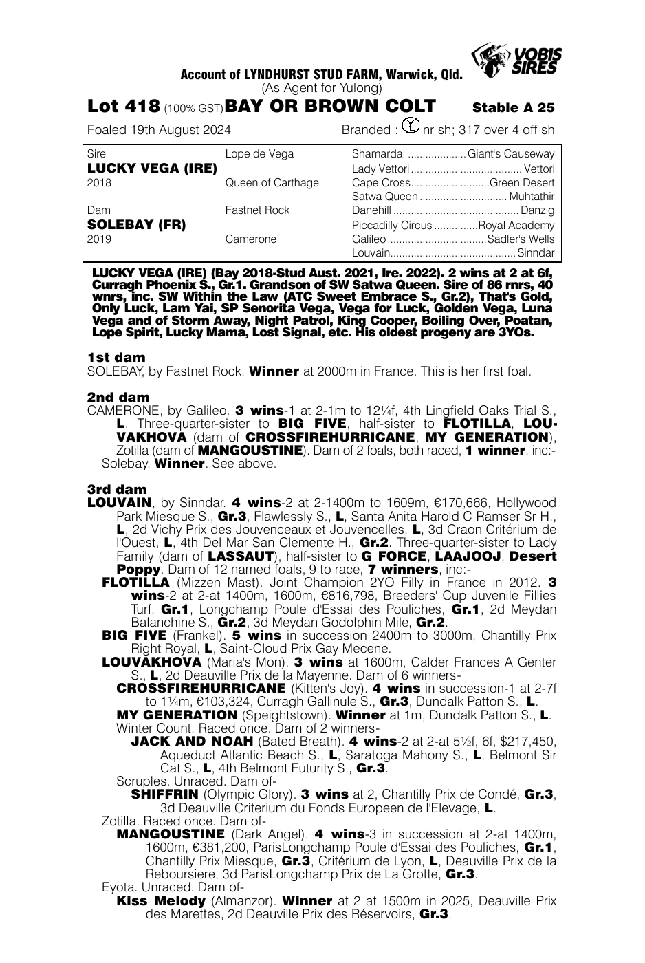 Pedigree - Lot 418