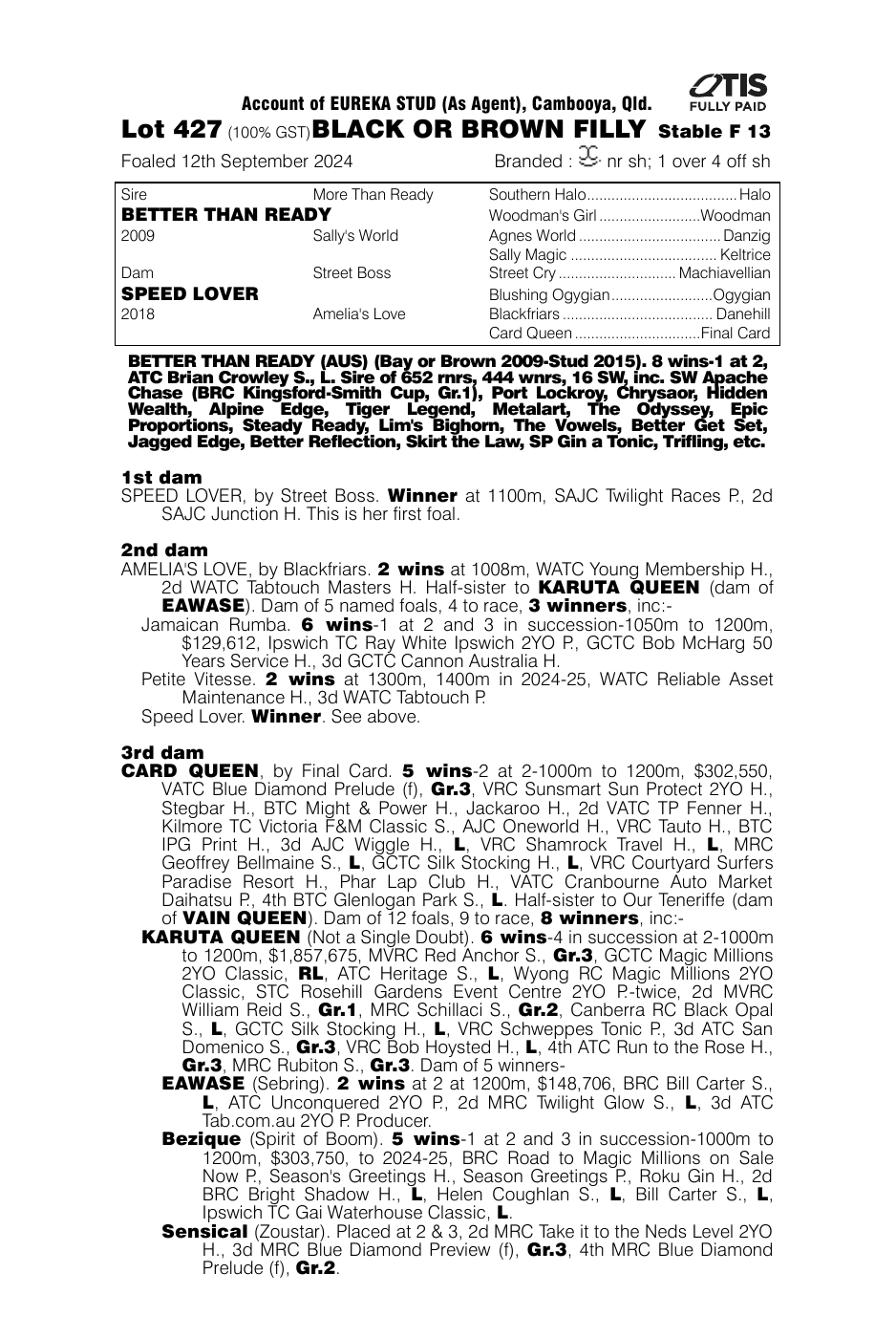 Pedigree - Lot 427