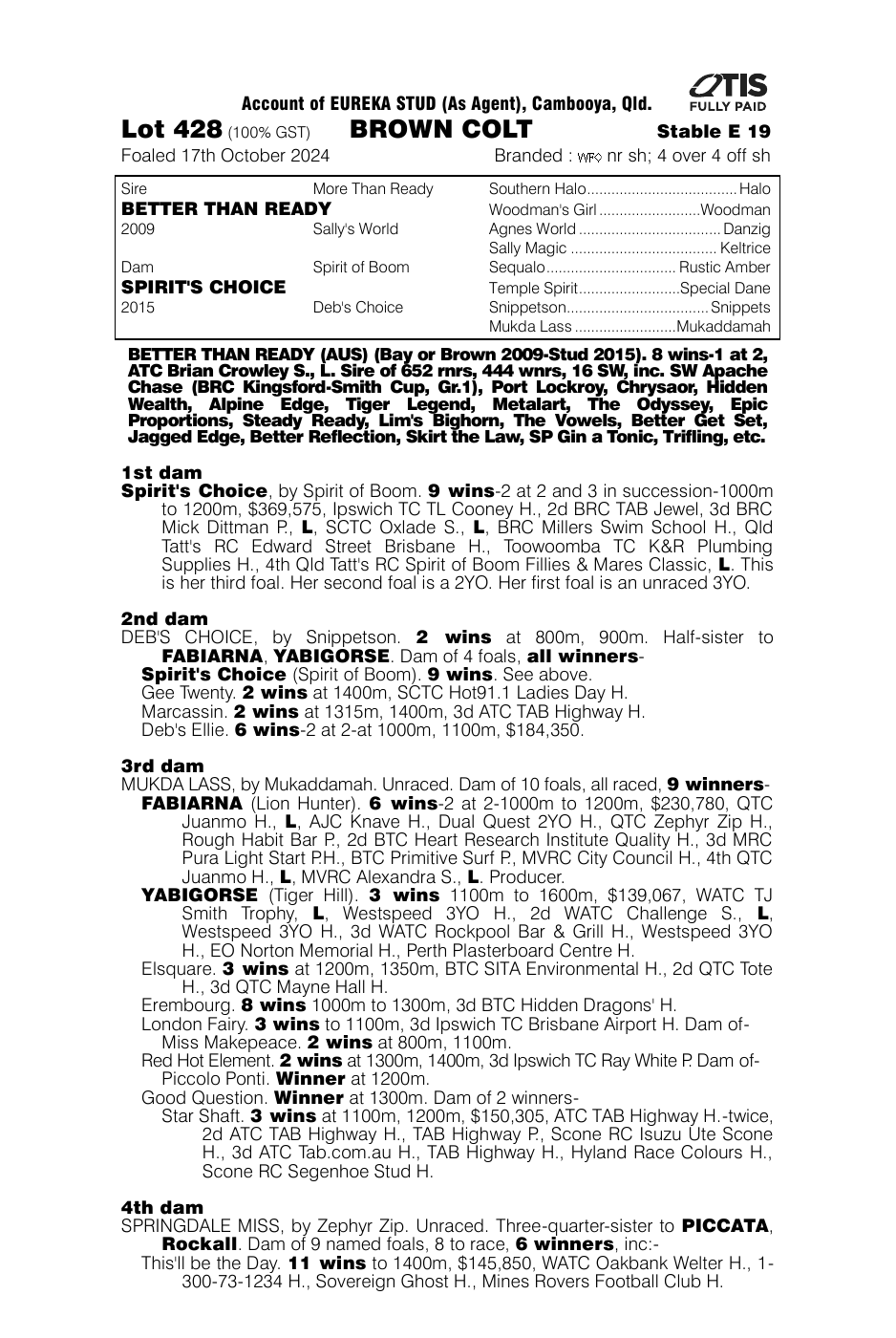 Pedigree - Lot 428