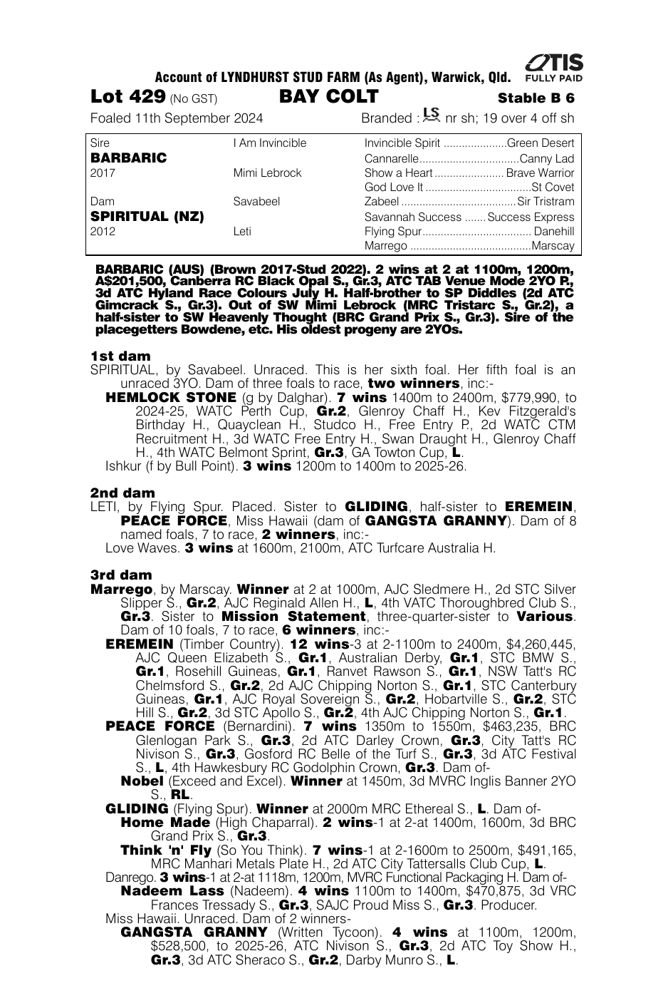 Pedigree - Lot 429